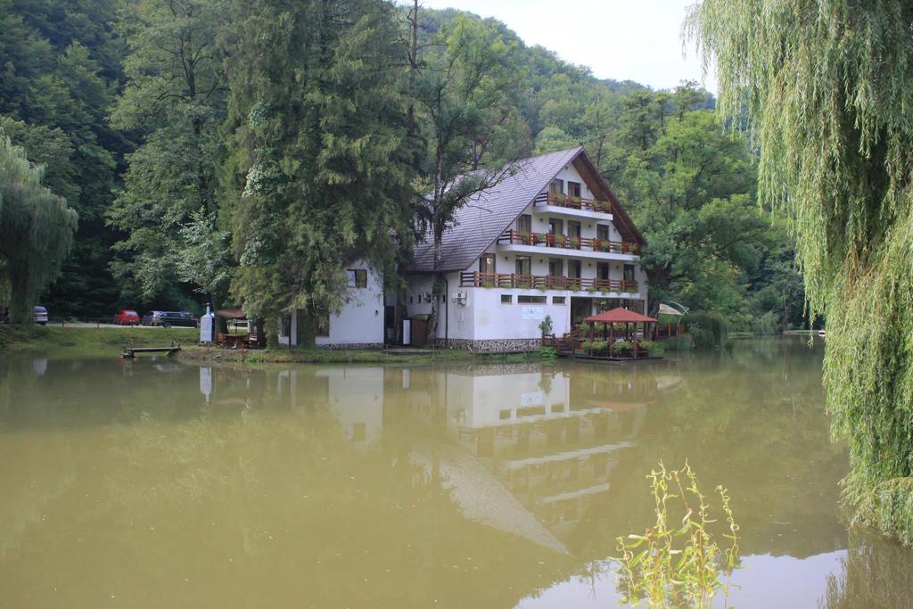 Guest House Lacul Linistit Moneasa Oda fotoğraf