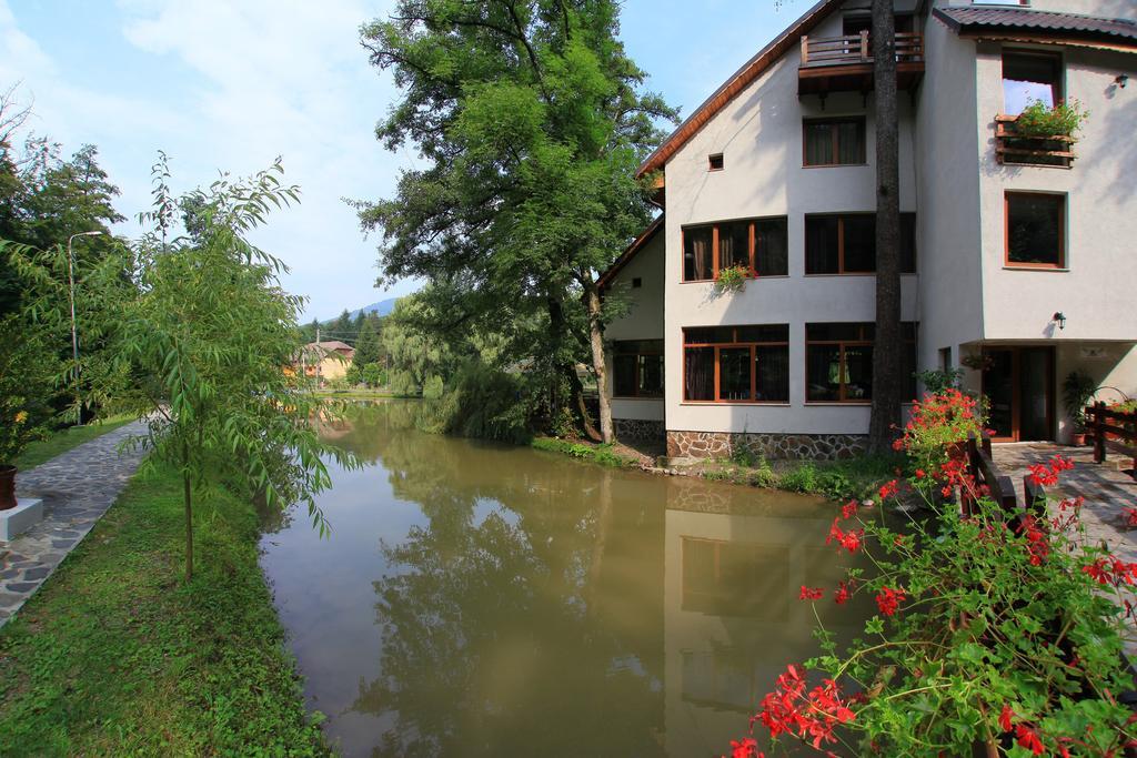 Guest House Lacul Linistit Moneasa Dış mekan fotoğraf