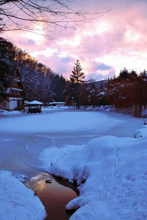 Guest House Lacul Linistit Moneasa Dış mekan fotoğraf